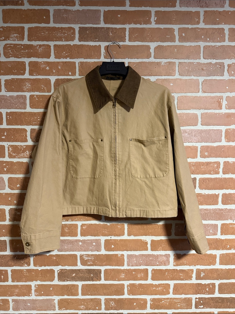Uniqlo Beige Jacket with Brown Corduroy Collar